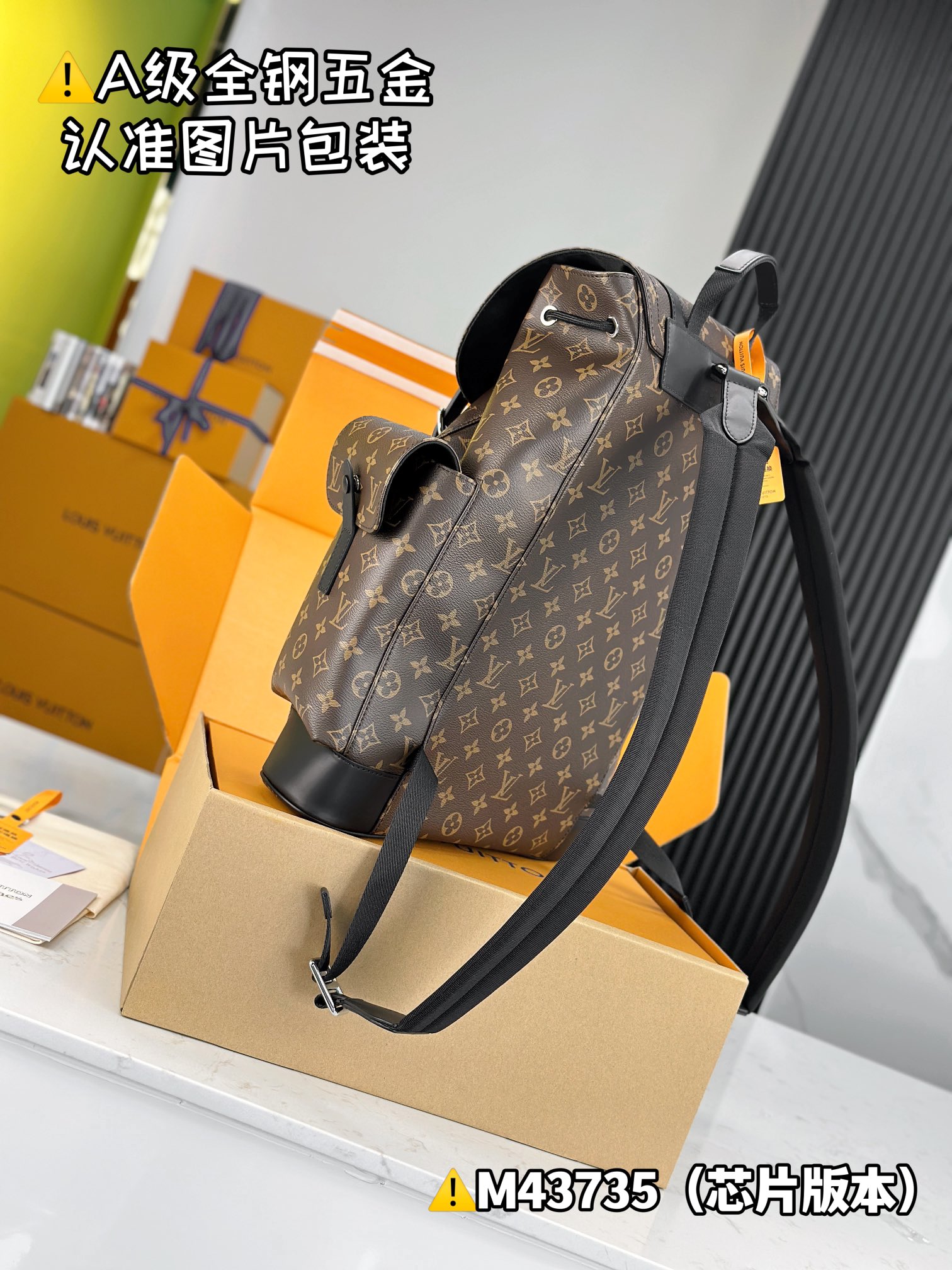 LV Backpacks